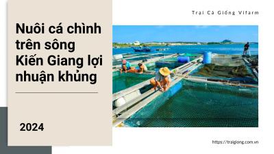 Nuôi cá chình trên sông Kiến Giang thu lợi cực khủng